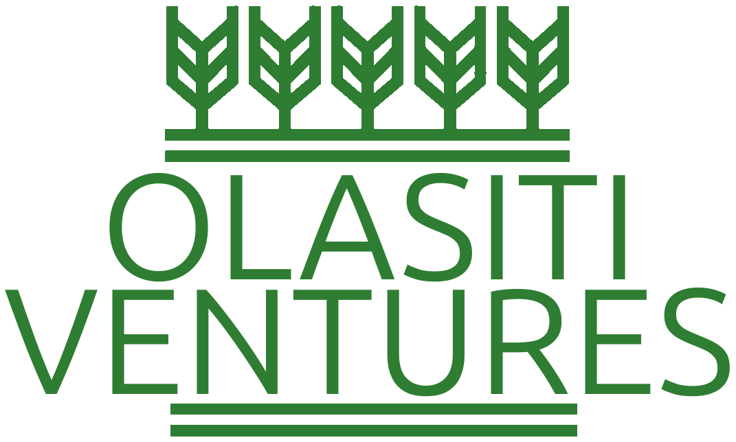 Olasiti Ventures Logo